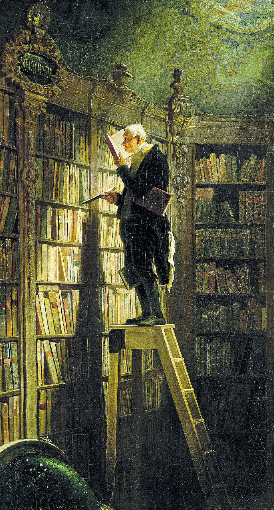 AMO LEER. ODIO LOS LIBROS.